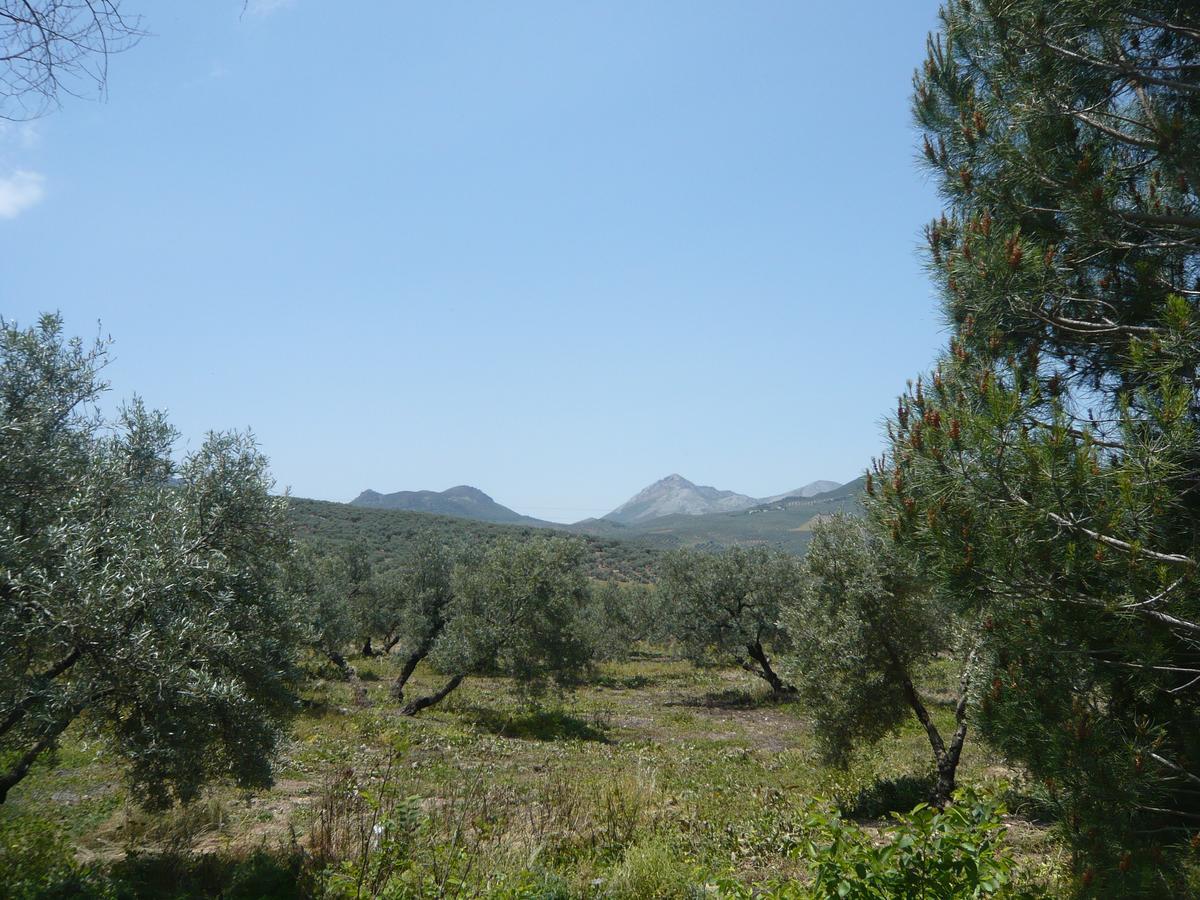 Venta Las Delicias Villanueva del Rosario ภายนอก รูปภาพ