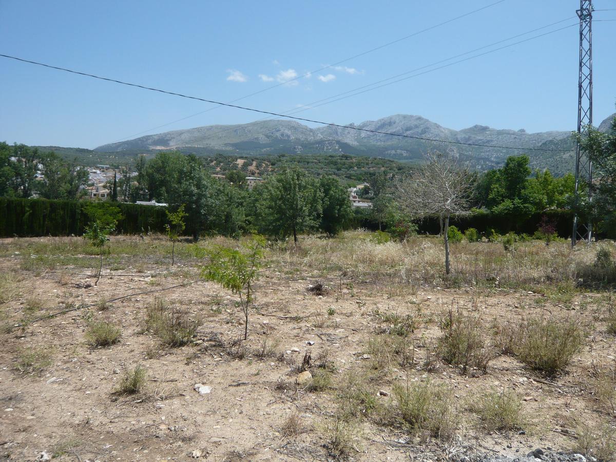 Venta Las Delicias Villanueva del Rosario ภายนอก รูปภาพ